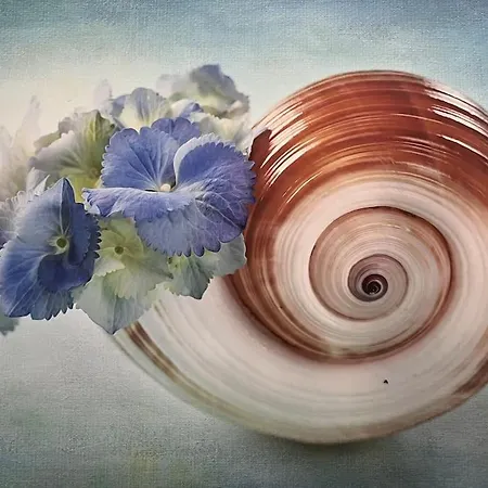 Reginas & Apartments- Blue Flower Apartament Fiskardo